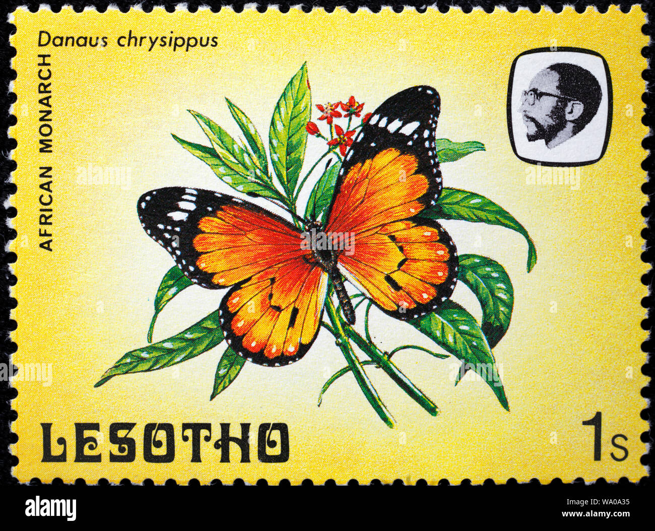 Arfican monarque, Danaus chrysippe, timbre-poste, Lesotho, 1984 Banque D'Images