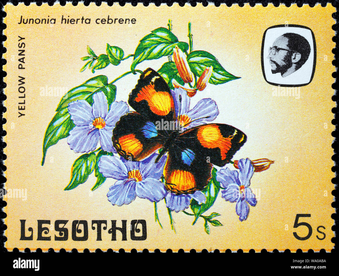 Junonia hierta, pansy jaune cebrene, timbre-poste, Lesotho, 1984 Banque D'Images