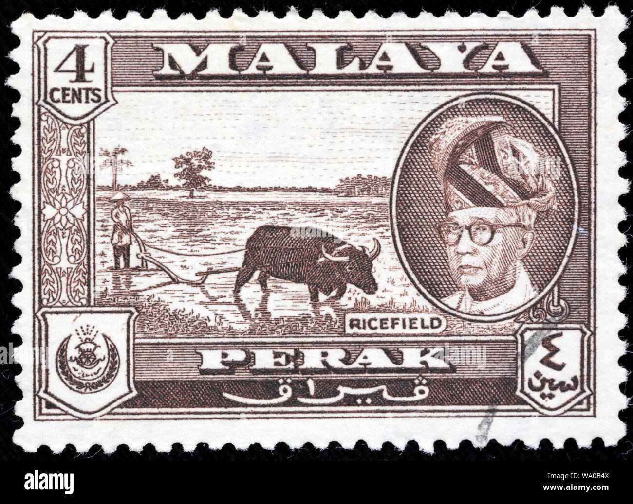 Ricefield, Yussuff Izzuddin Shah, timbre-poste, Malaisie, 1957 Banque D'Images