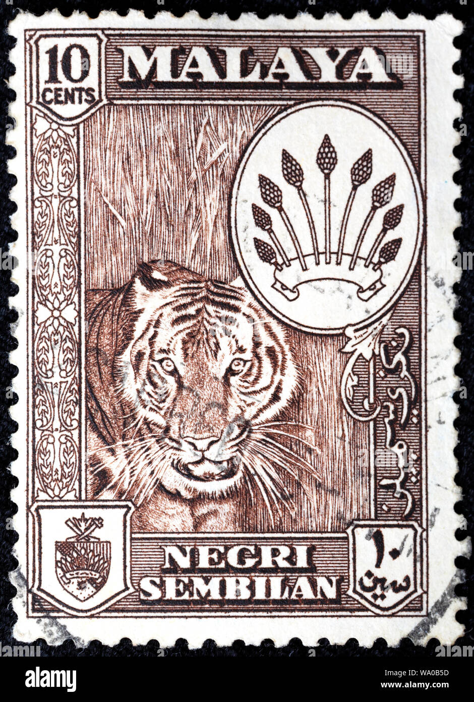 Tiger, Panthera tigris, timbre-poste, Negeri Sembilan, Malaisie, 1957 Banque D'Images