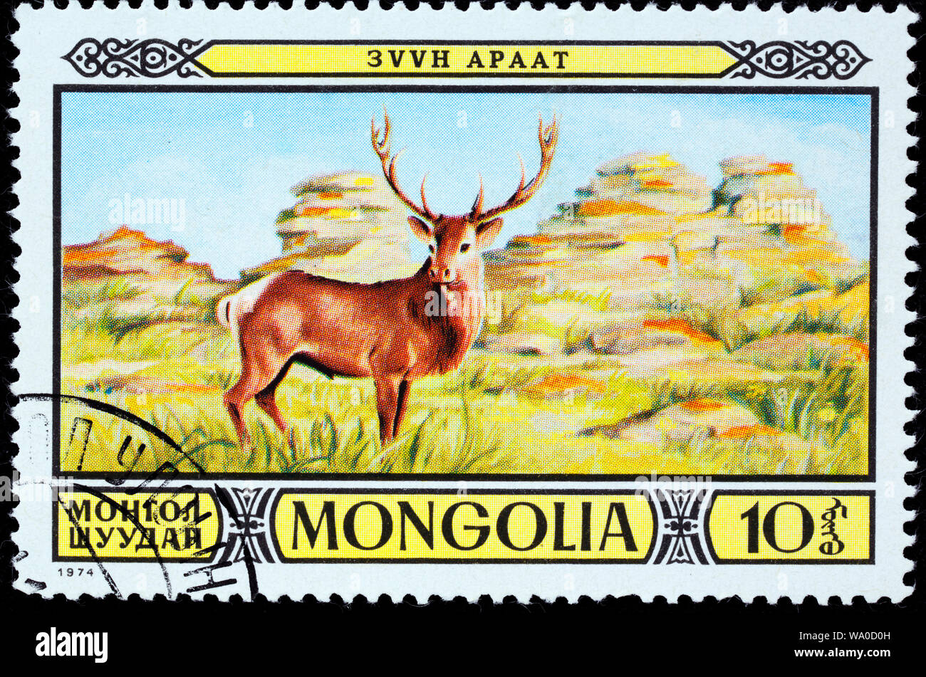 Red Deer (Cervus elaphus, timbre-poste, Mongolie, 1974 Banque D'Images