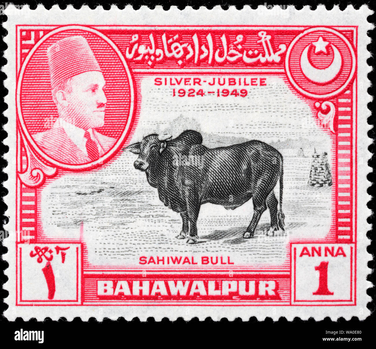 Mohammad Sadeq Khan V, Émir de l'État princier de Bahawalpur, partie sud du Punjab, Pakistan et maintenant Sahiwal bull, timbre-poste, Bahawalpur, 1949 Banque D'Images