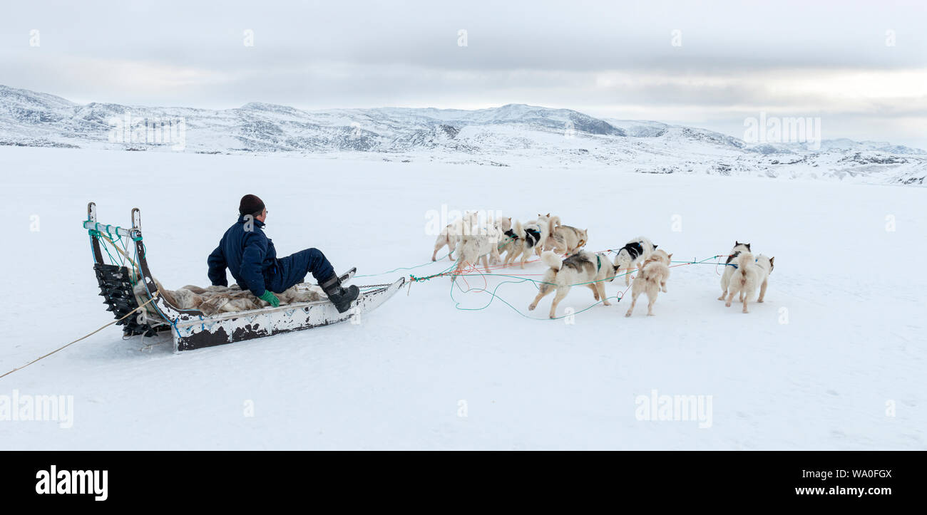 Un chasseur inuit sur son traîneau à chien Banque D'Images