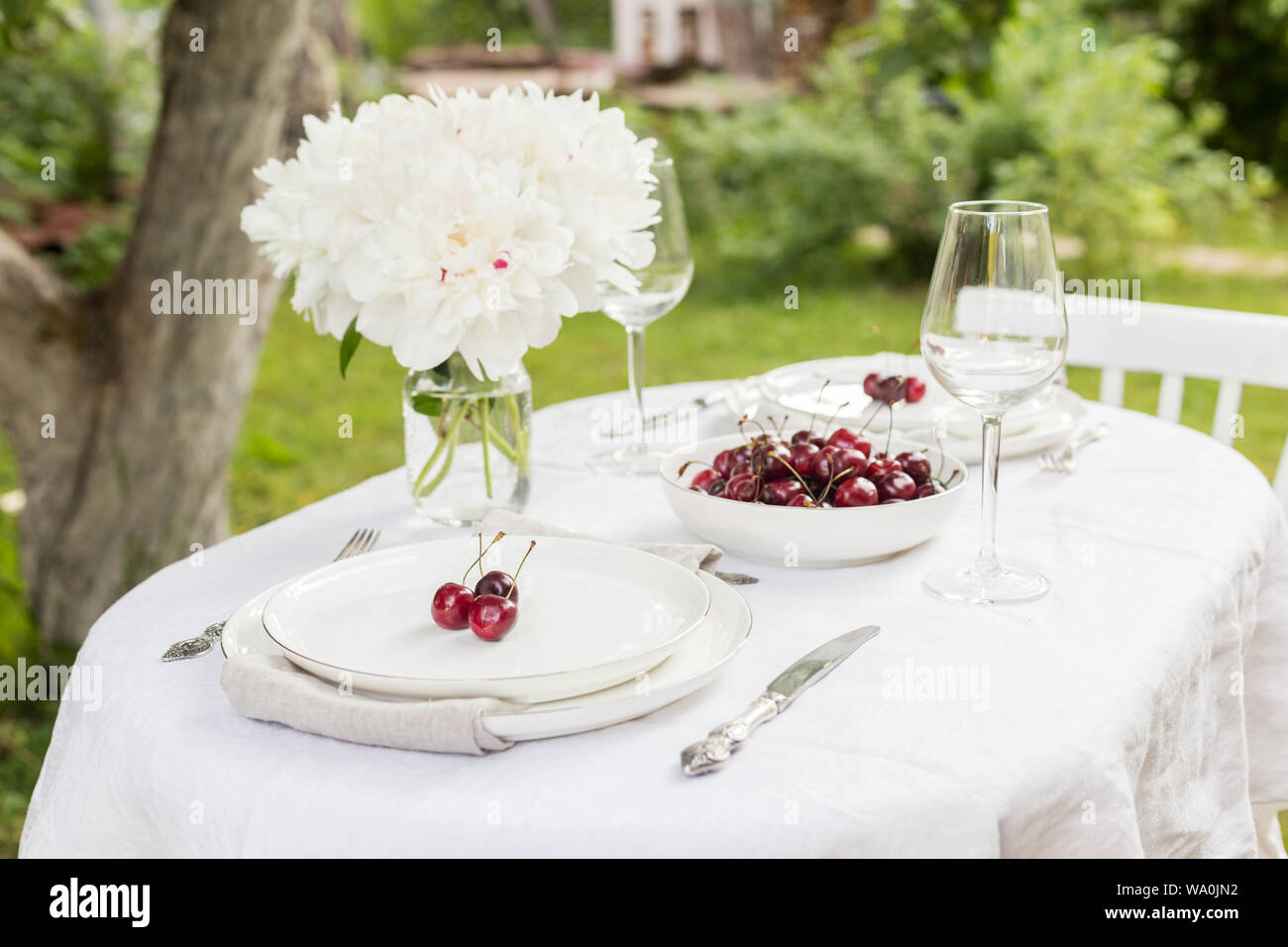 Set de table en jardin pour couple avec des verres, de la vaisselle et de fleurs blanches dans un vase. Concept de table romantique Banque D'Images Set de table en jardin pour couple avec des verres, de la vaisselle et de fleurs blanches dans un vase. Concept de table romantique Banque D'Images