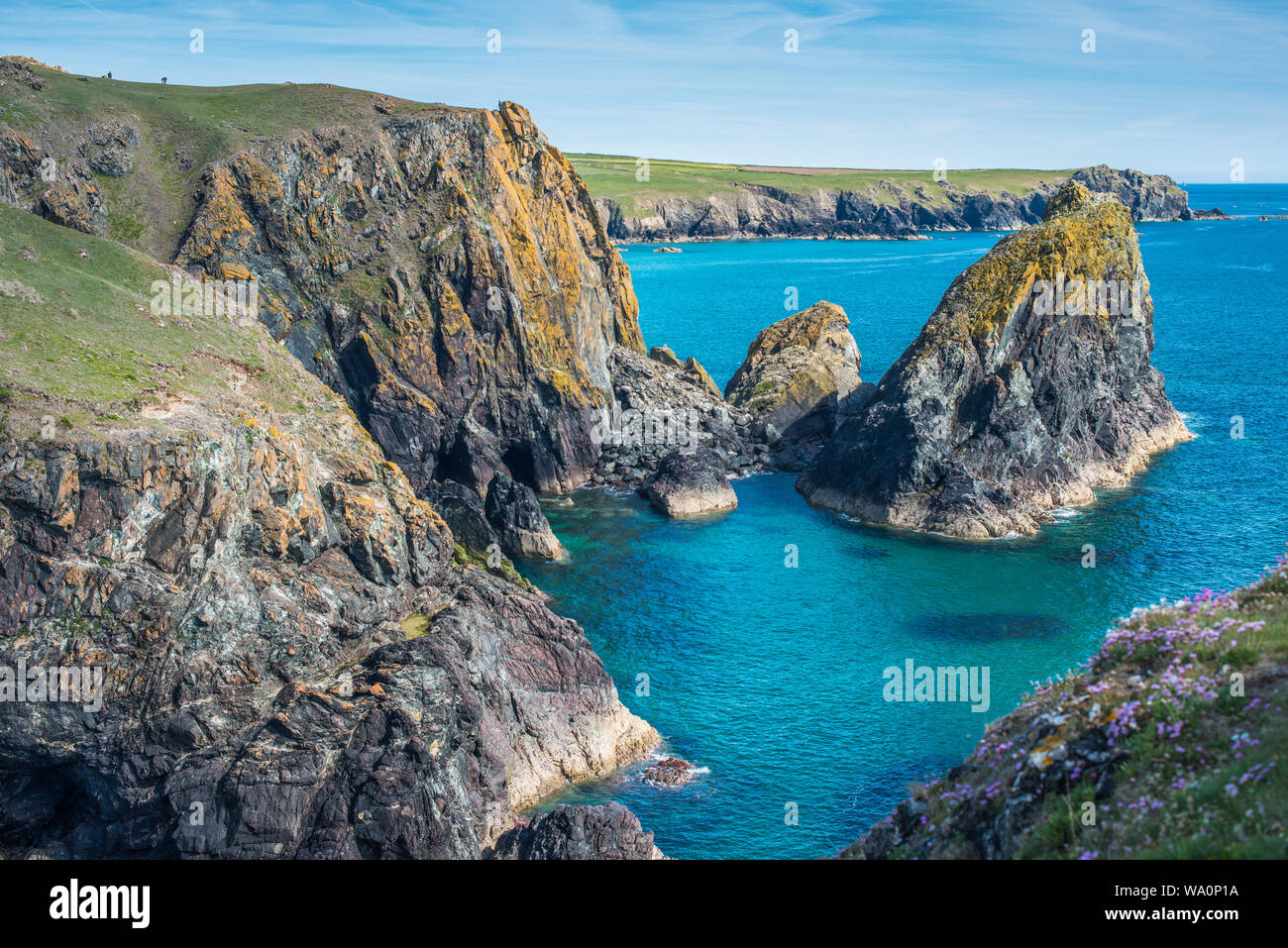Paysage côtier spectaculaire à Kynance Cove sur la péninsule du Lézard dans le sud de Cornwall, Angleterre, Royaume-Uni. Banque D'Images