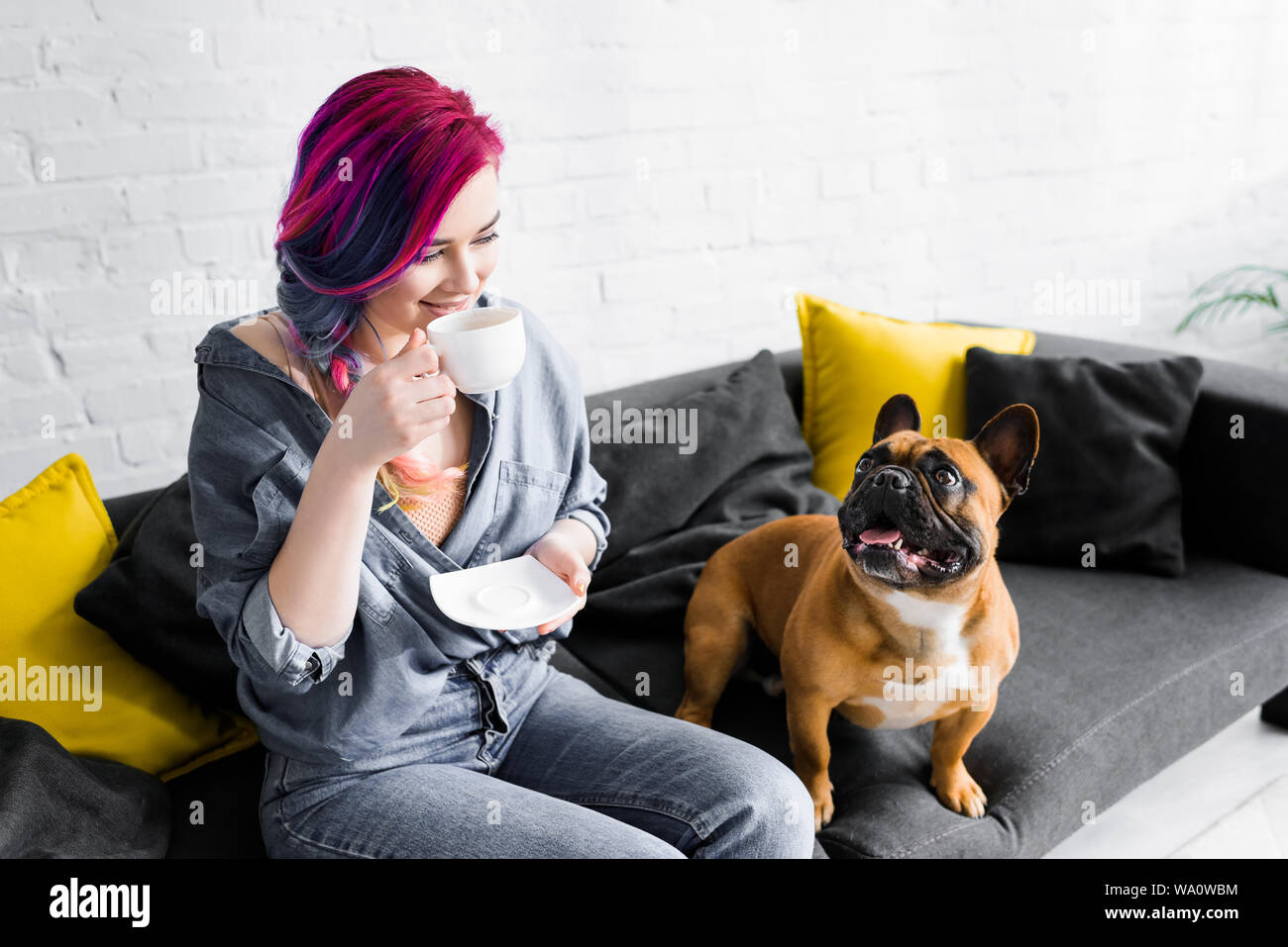 Belle fille avec les cheveux colorés de boire du café et assis sur un canapé près de mignon bouledogue français Banque D'Images