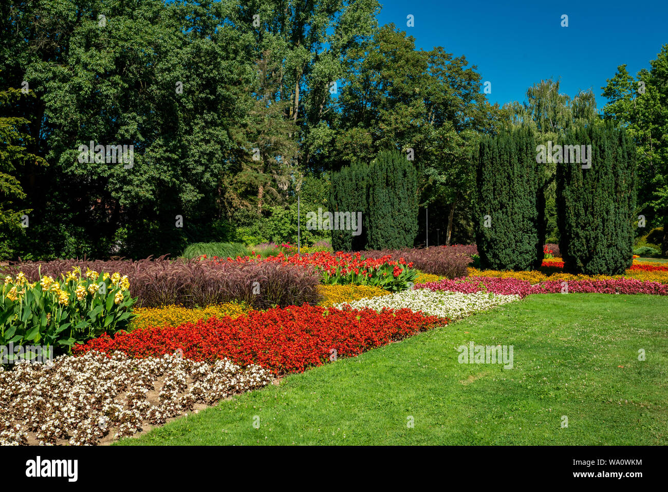 Vue d'une pelouse et jardin fleuri. beau parc Banque D'Images