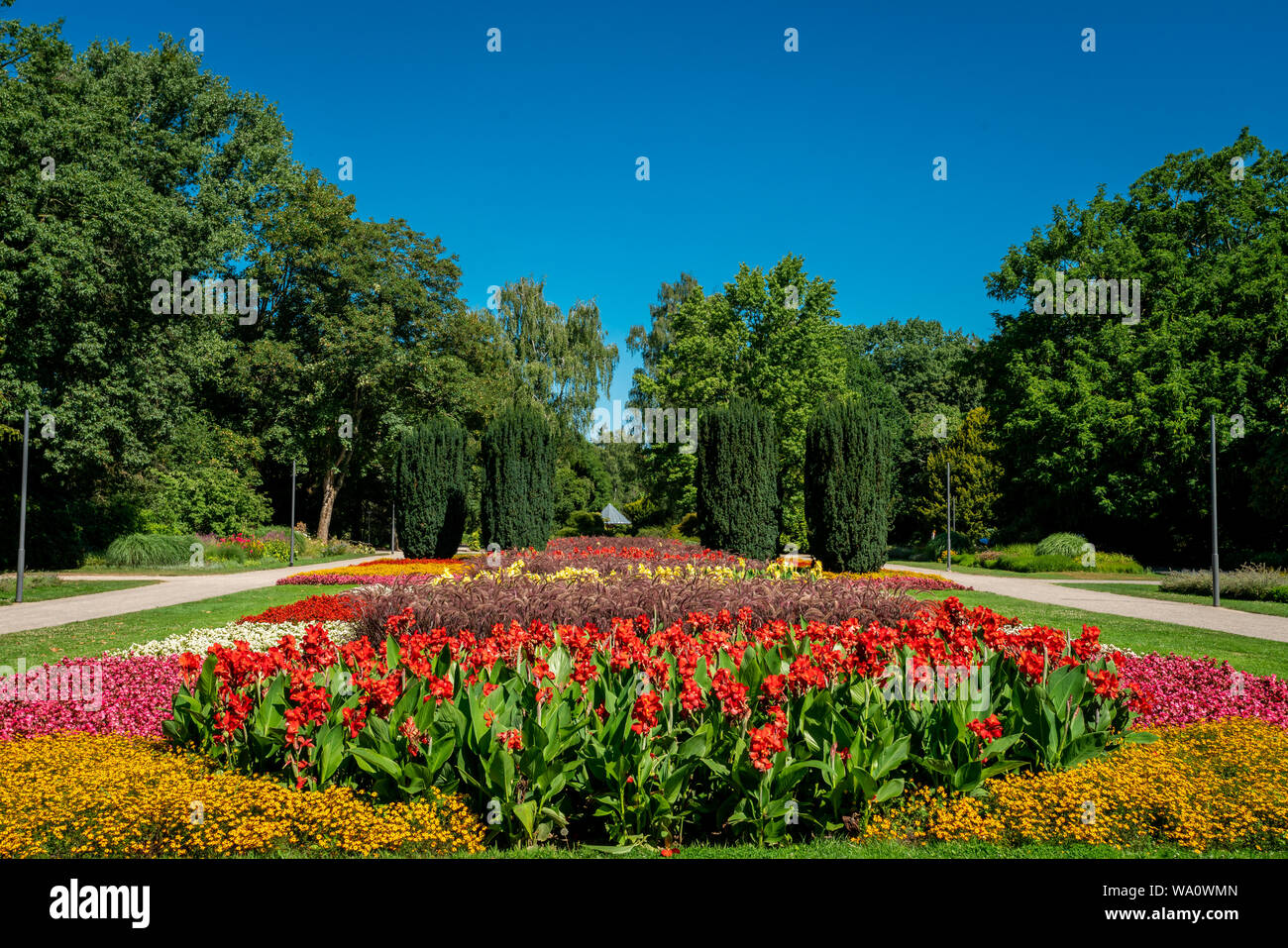 Vue d'une pelouse et jardin fleuri. beau parc Banque D'Images