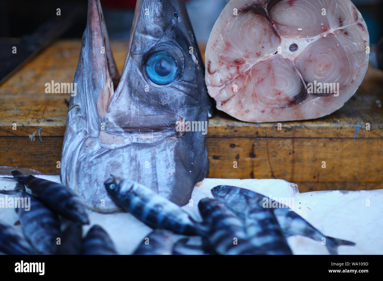 Matin de captures de différents types de poissons sur le marché contre Banque D'Images