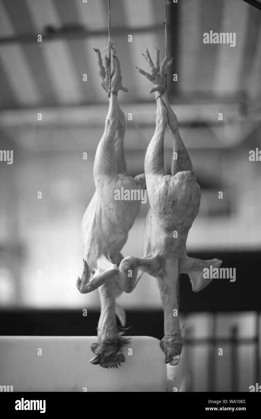 Accrochée à la jambe de carcasses de poulet sur le comptoir du marché agricole Banque D'Images