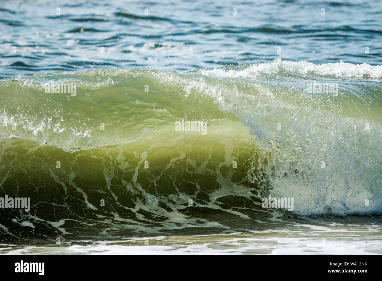 Une vague formant une belle boucle dans l'océan au large de Long Island, NY Banque D'Images