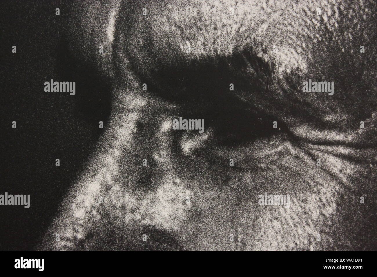 Noir et blanc Fine art Photography à partir des années 1970 d'un homme soupçonneux de ce qu'il voit. Banque D'Images