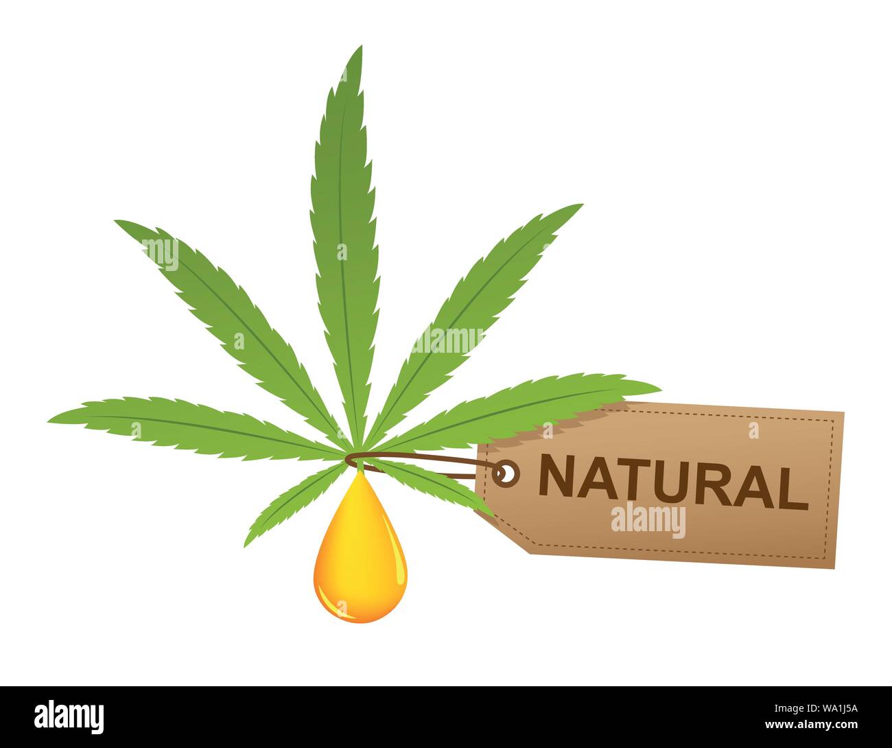 Feuille de cannabis avec de l'huile goutte et naturel label isoladet sur fond blanc vector illustration EPS10 Illustration de Vecteur