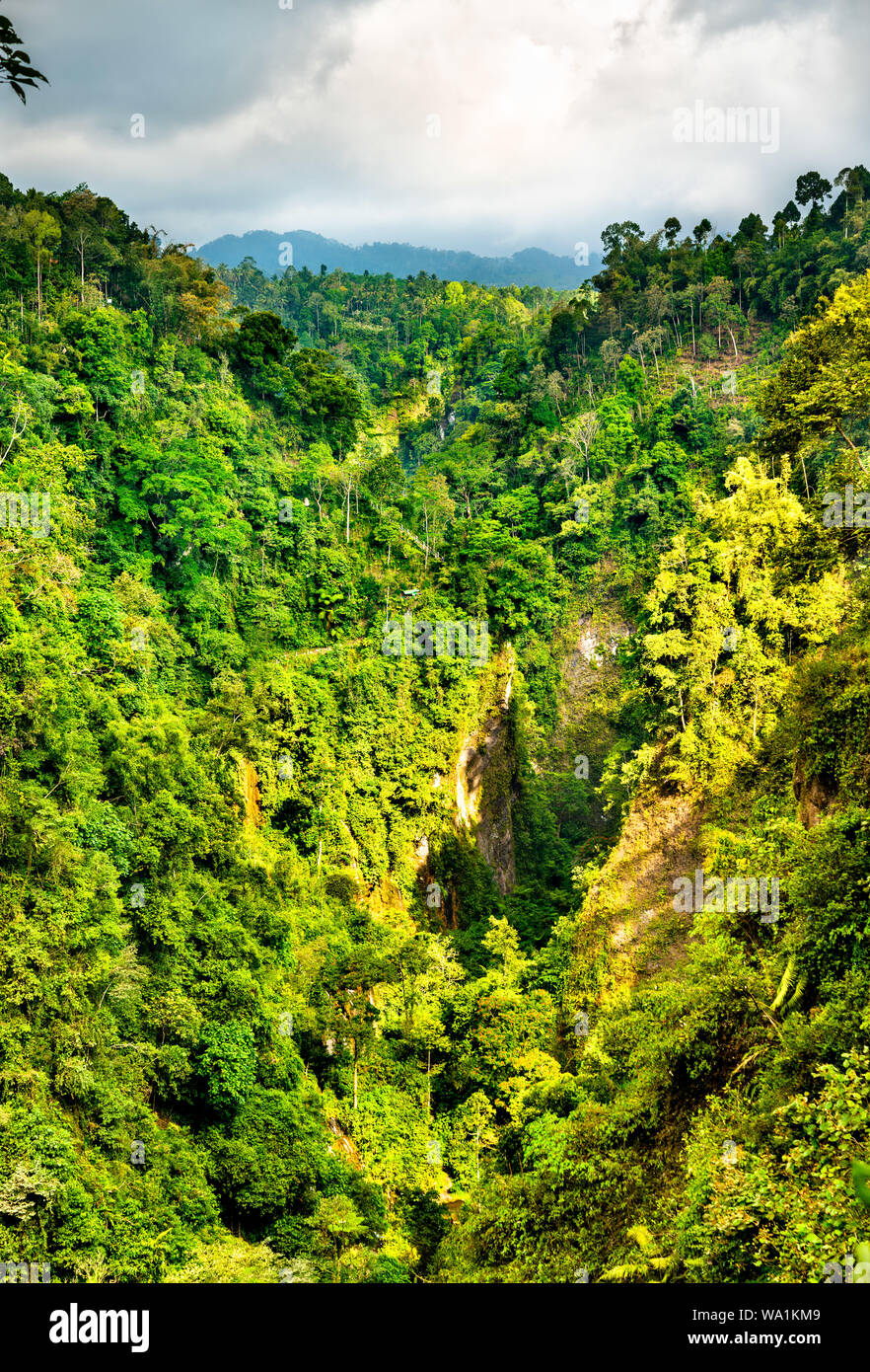 Paysage à la Sewu Cascades dans l'Est de Java, Indonésie Banque D'Images