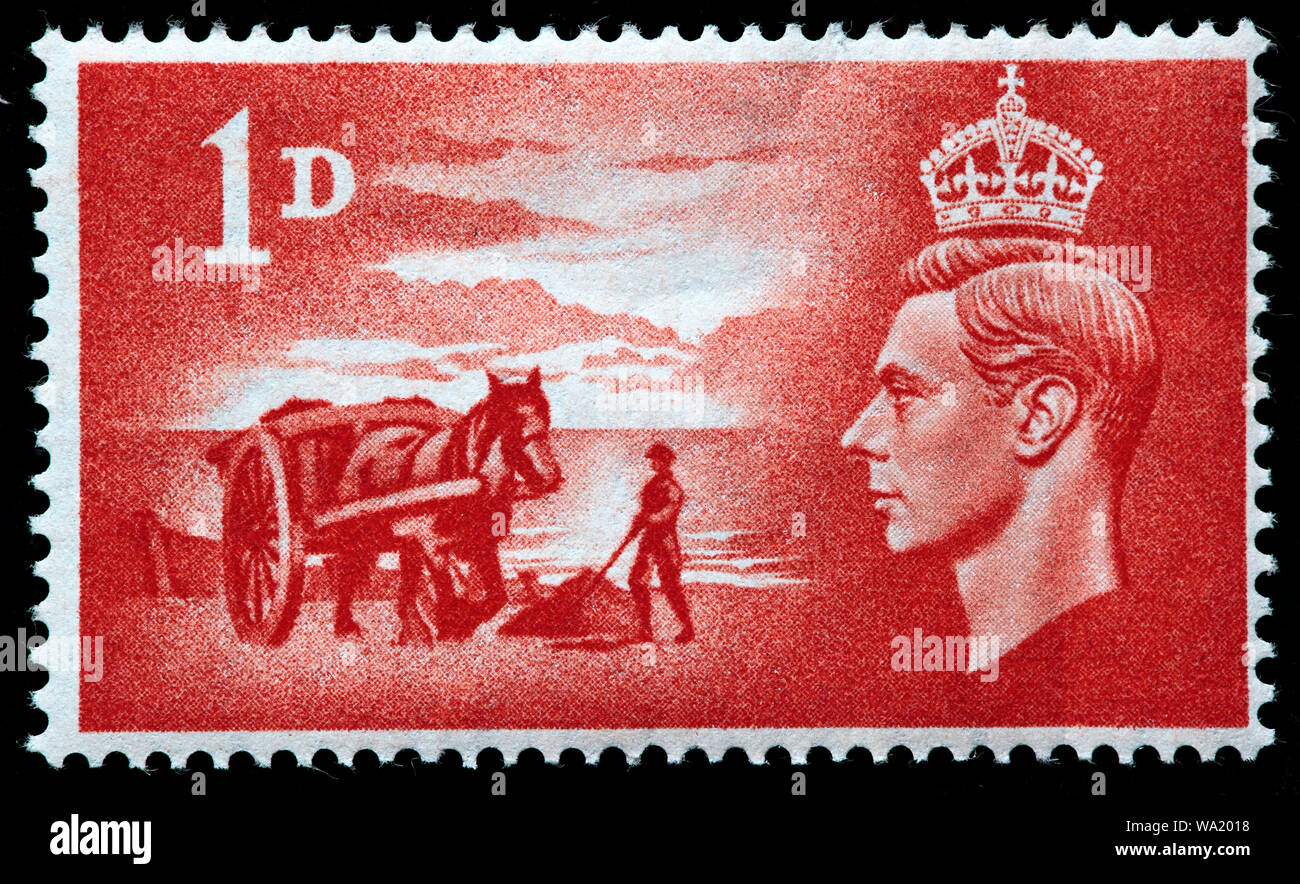 Collecte d'Insulaires vraic, algues, Channel Islands, le roi George VI, timbre-poste, UK, 1948 Banque D'Images