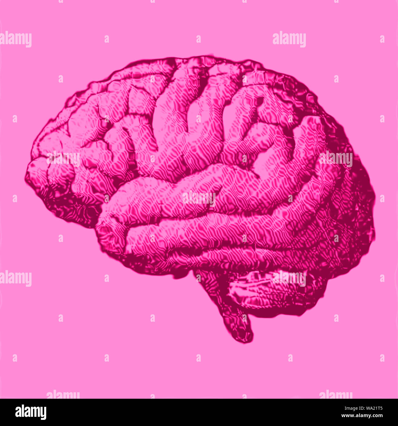 Vue latérale d'un cerveau, le dessin. Les maladies dégénératives du cerveau, les neurones, les synapses, Parkinson, Alzheimer Banque D'Images