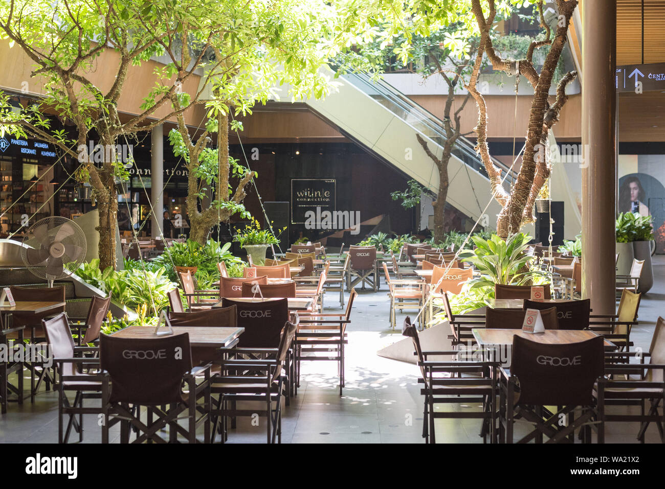 Bangkok, Thaïlande - 19 mai 2019 : Groove restaurant intérieur décoré avec des arbres vivants et éclairés par la lumière naturelle au centre commercial Central World. Banque D'Images