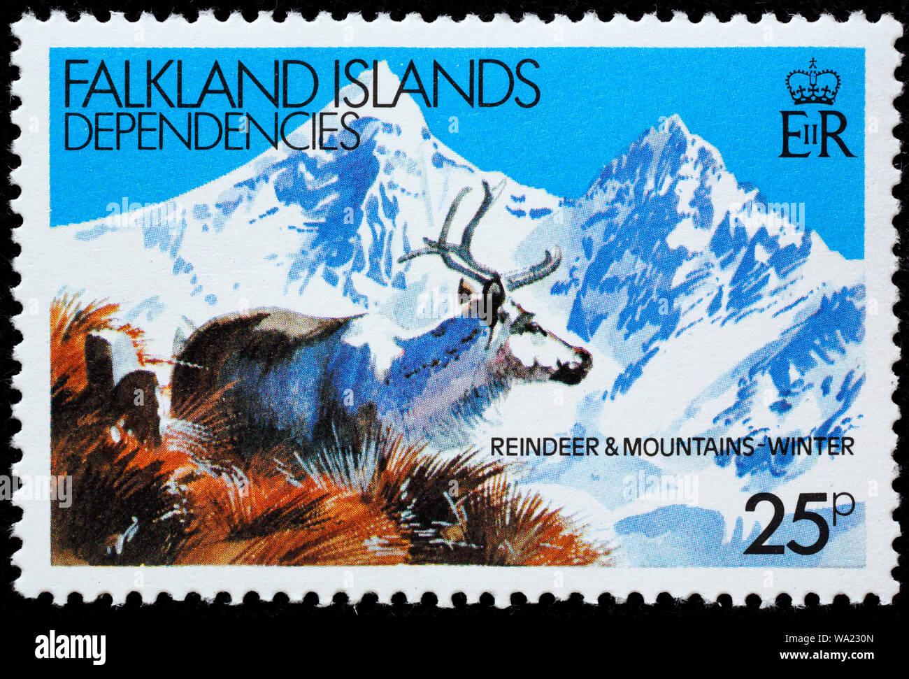 Rangifer tarandus, renne, timbre-poste, Îles Falkland, dépendances, 1982 Banque D'Images