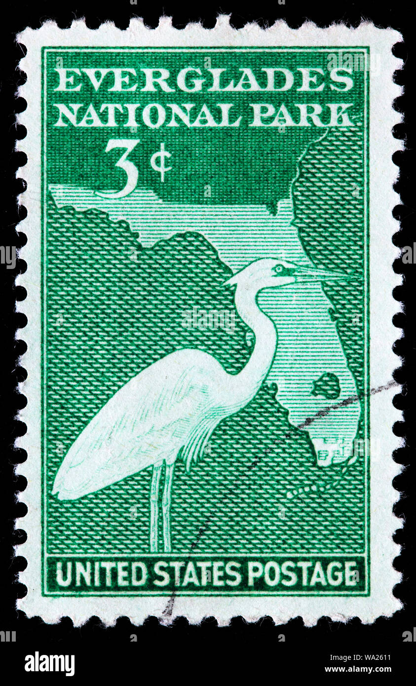 Ardea alba, grande aigrette, le parc national des Everglades, en Floride, timbre-poste, USA, 1947 Banque D'Images