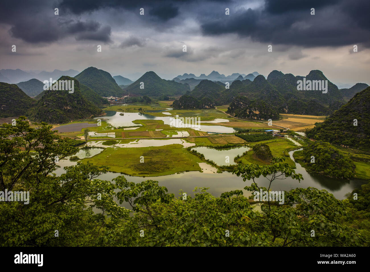 , La province de Yunnan, zhuang et miao de wenshan préfecture autonome de la minorité north hill county, qui est noir scenic area, Angle, Vue Panoramique, rizière Banque D'Images