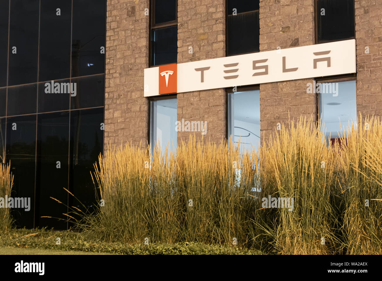 L'avant du concessionnaire Tesla vu la nuit. Banque D'Images