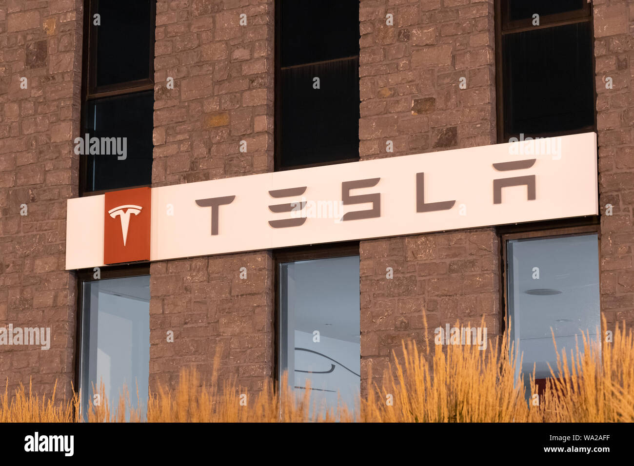 Tesla signe à l'avant de la salle de montre et service center à Toronto, Canada la nuit. Banque D'Images Tesla signe à l'avant de la salle de montre et service center à Toronto, Canada la nuit. Banque D'Images