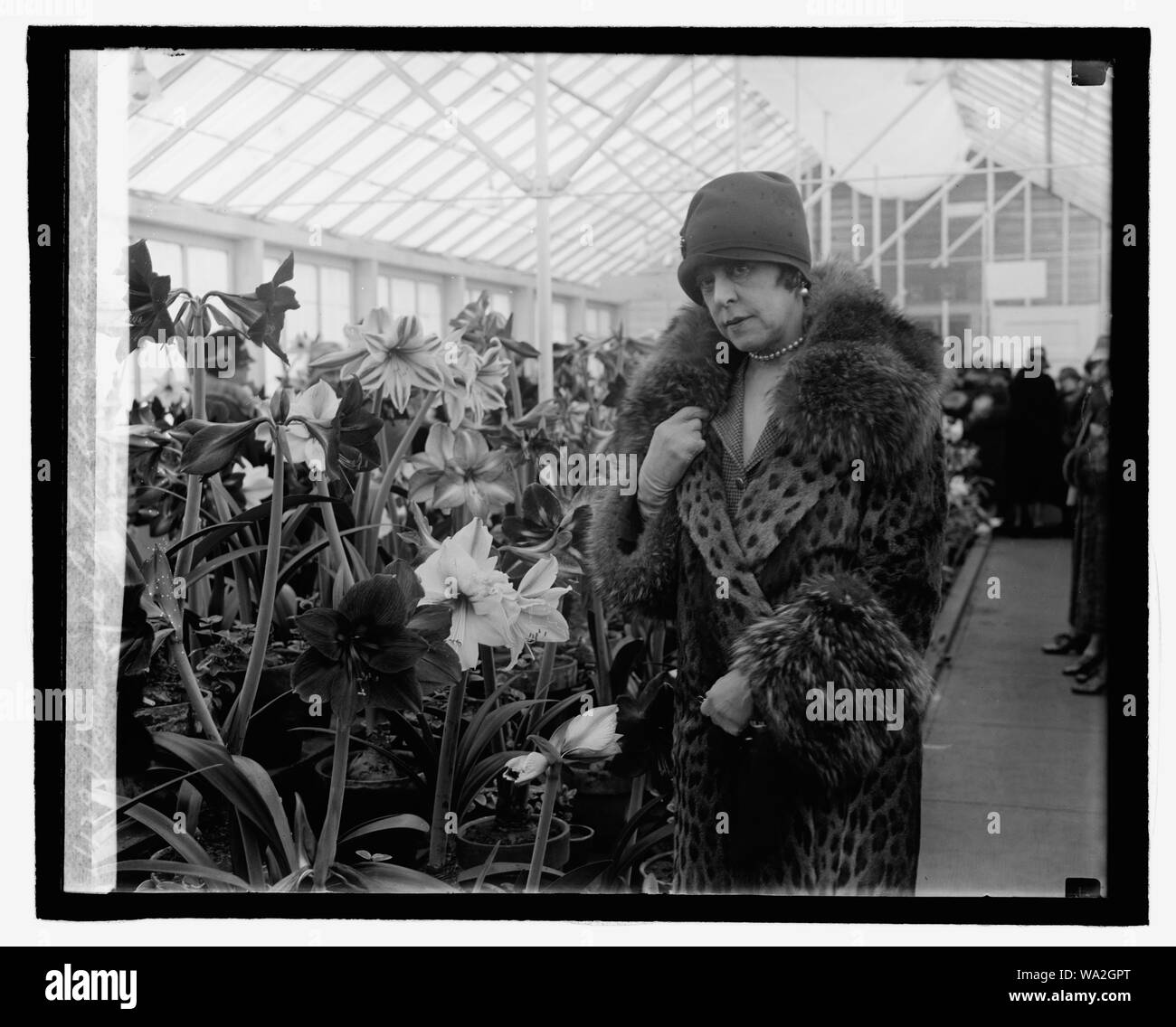 La baronne de Cartier de Marchienne à l'Amaryllis show, 3/9/27 Banque D'Images