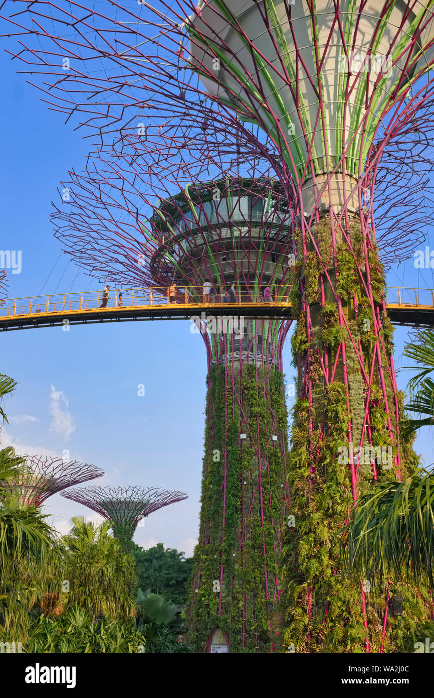Les touristes sur l'OCBC Skyway entre les SuperTrees dans les jardins de la baie, la Marina Bay, Singapour, l'une des principales attractions touristiques de l'état Banque D'Images