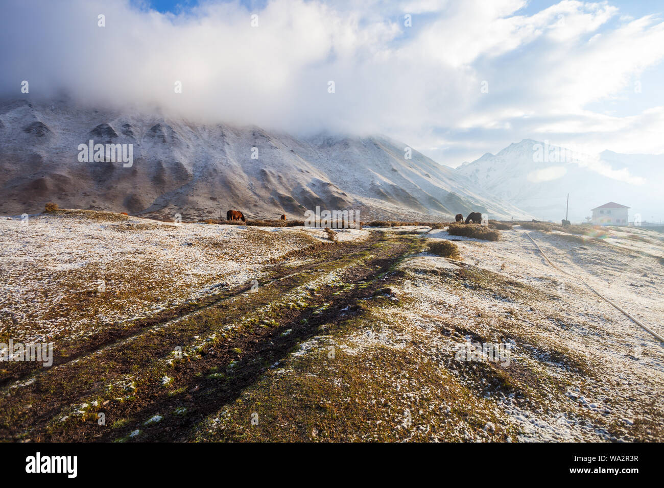 Xinjiang snow mountain scenery Banque D'Images