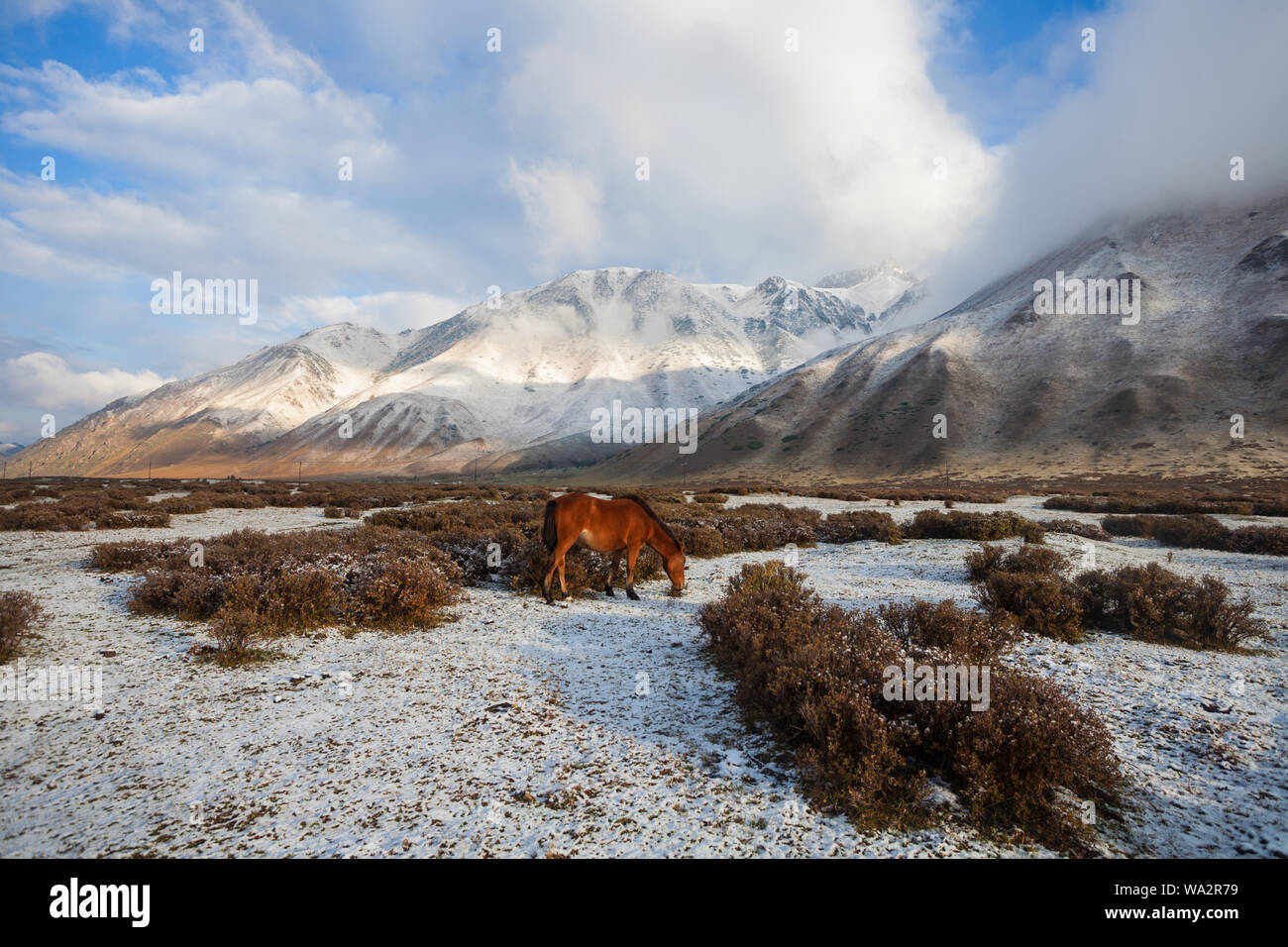 Xinjiang snow mountain scenery Banque D'Images