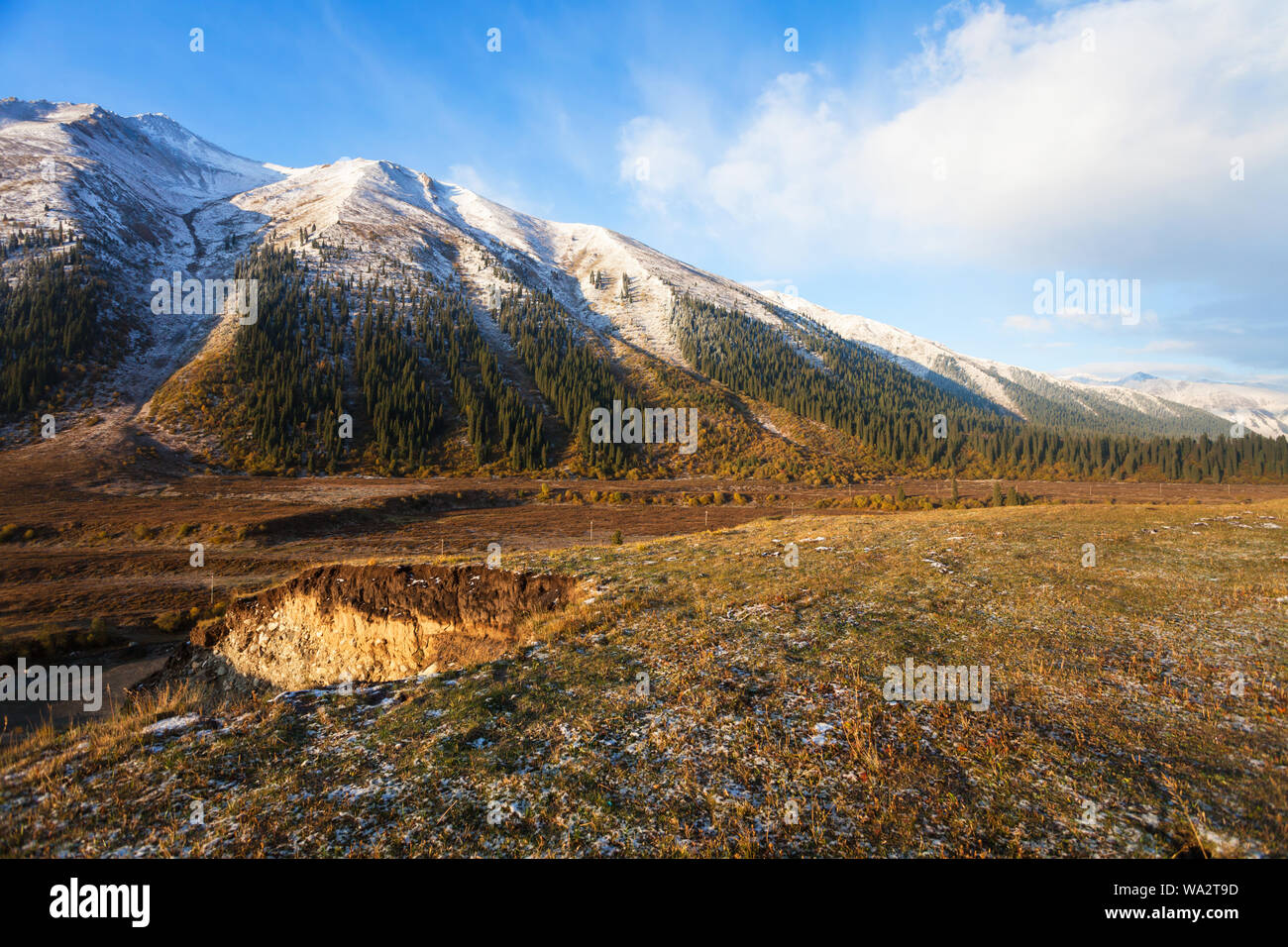 Xinjiang snow mountain scenery Banque D'Images