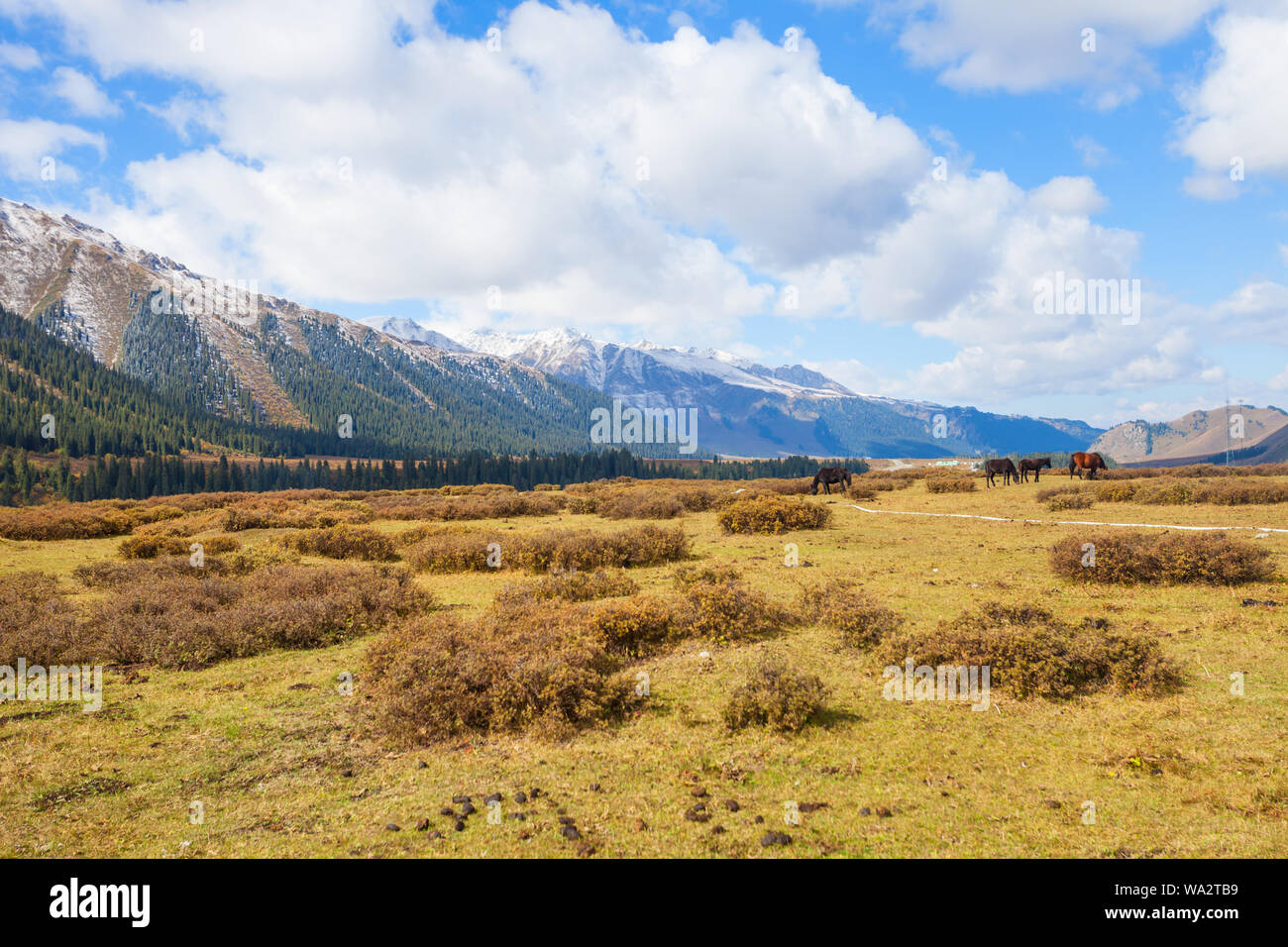 Xinjiang snow mountain scenery Banque D'Images