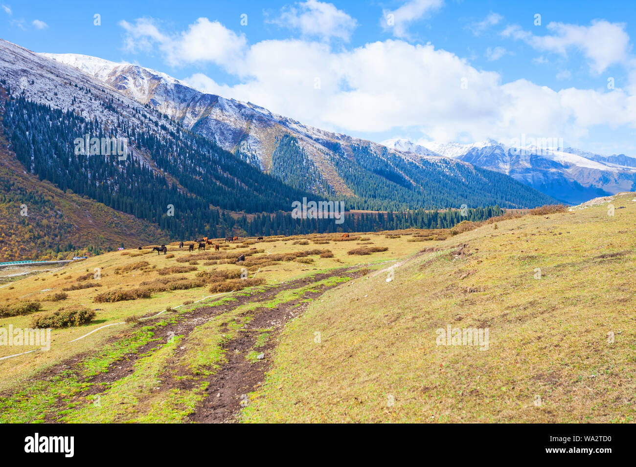 Xinjiang snow mountain scenery Banque D'Images