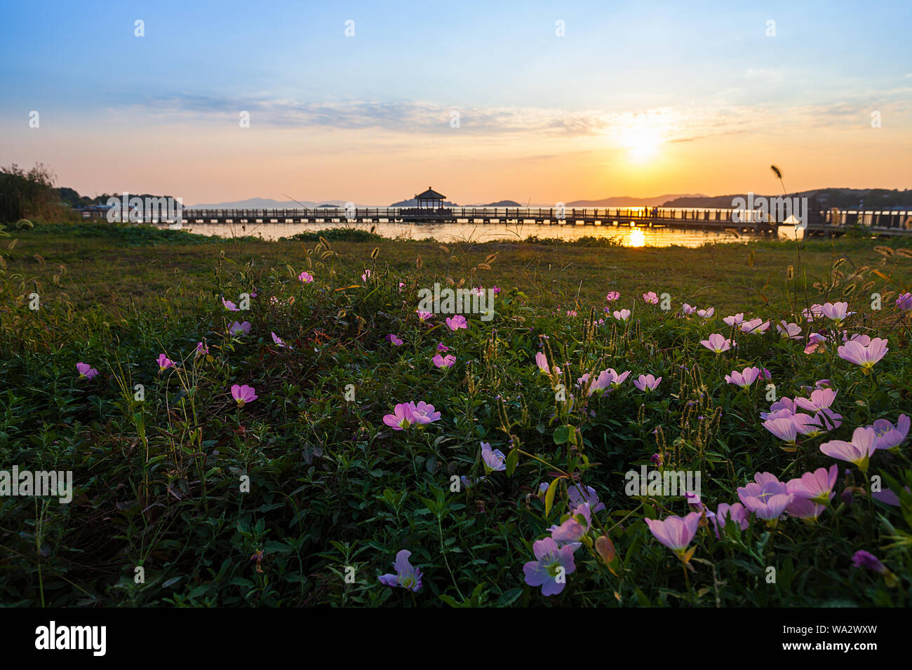 Le lac Taihu scenery Banque D'Images