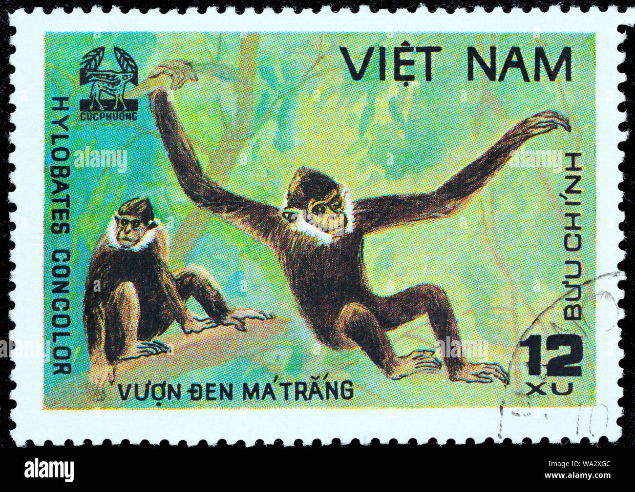 Gibbon à crête noire, Nomascus concolor, Cuc Phuona Nati Forêt, timbre-poste, Vietnam, 1981 Banque D'Images