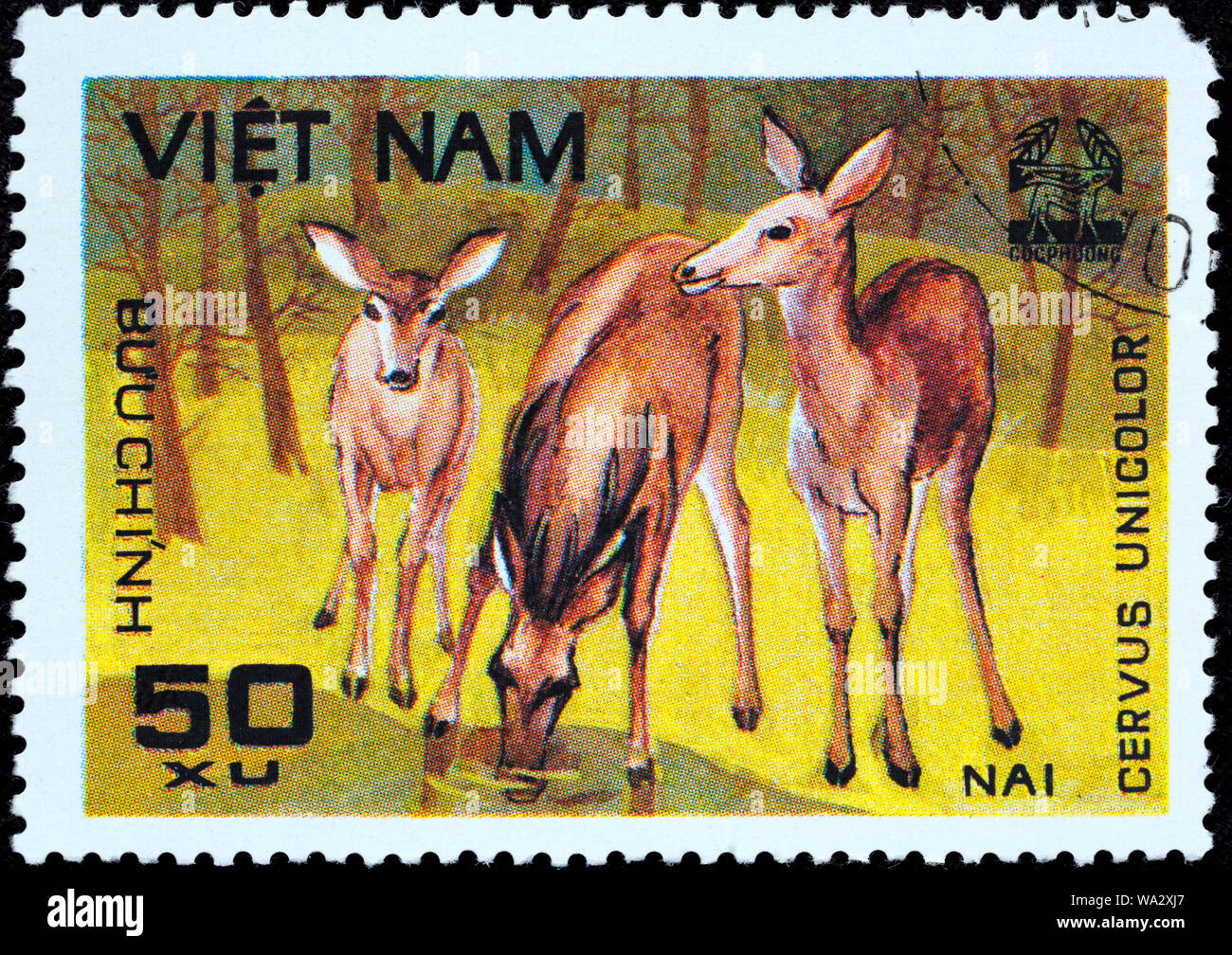 Cerfs Sambar, Rusa unicolor, Cuc Phuona Nati Forêt, timbre-poste, Vietnam, 1981 Banque D'Images
