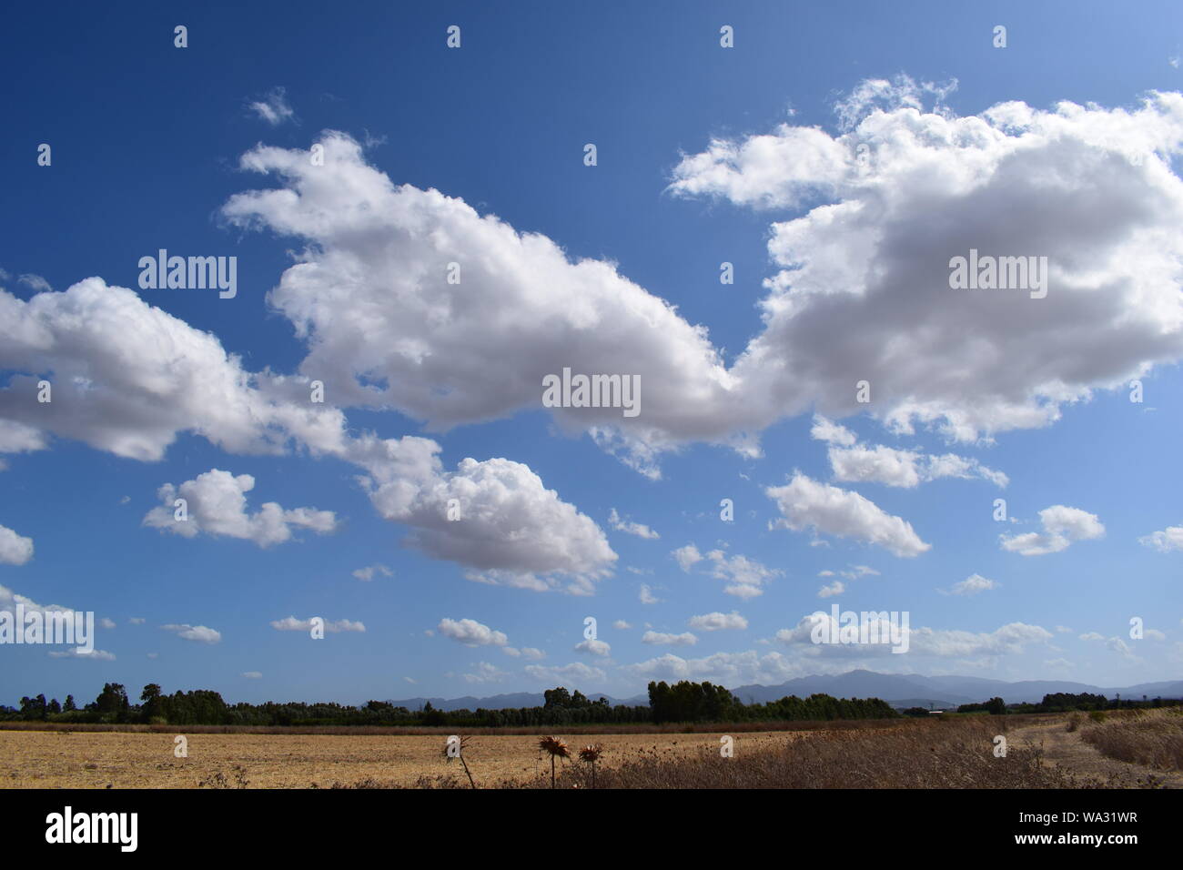 Paysage d'été avec un ciel nuageux ciel bleu. Une magnifique vue sur la Méditerranée en Sardaigne, Italie Banque D'Images