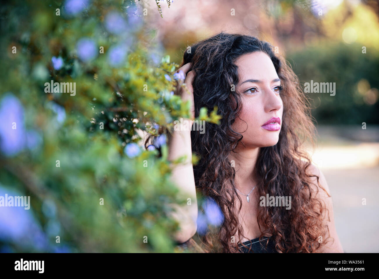 Belle Jeune Femme Banque D'Images