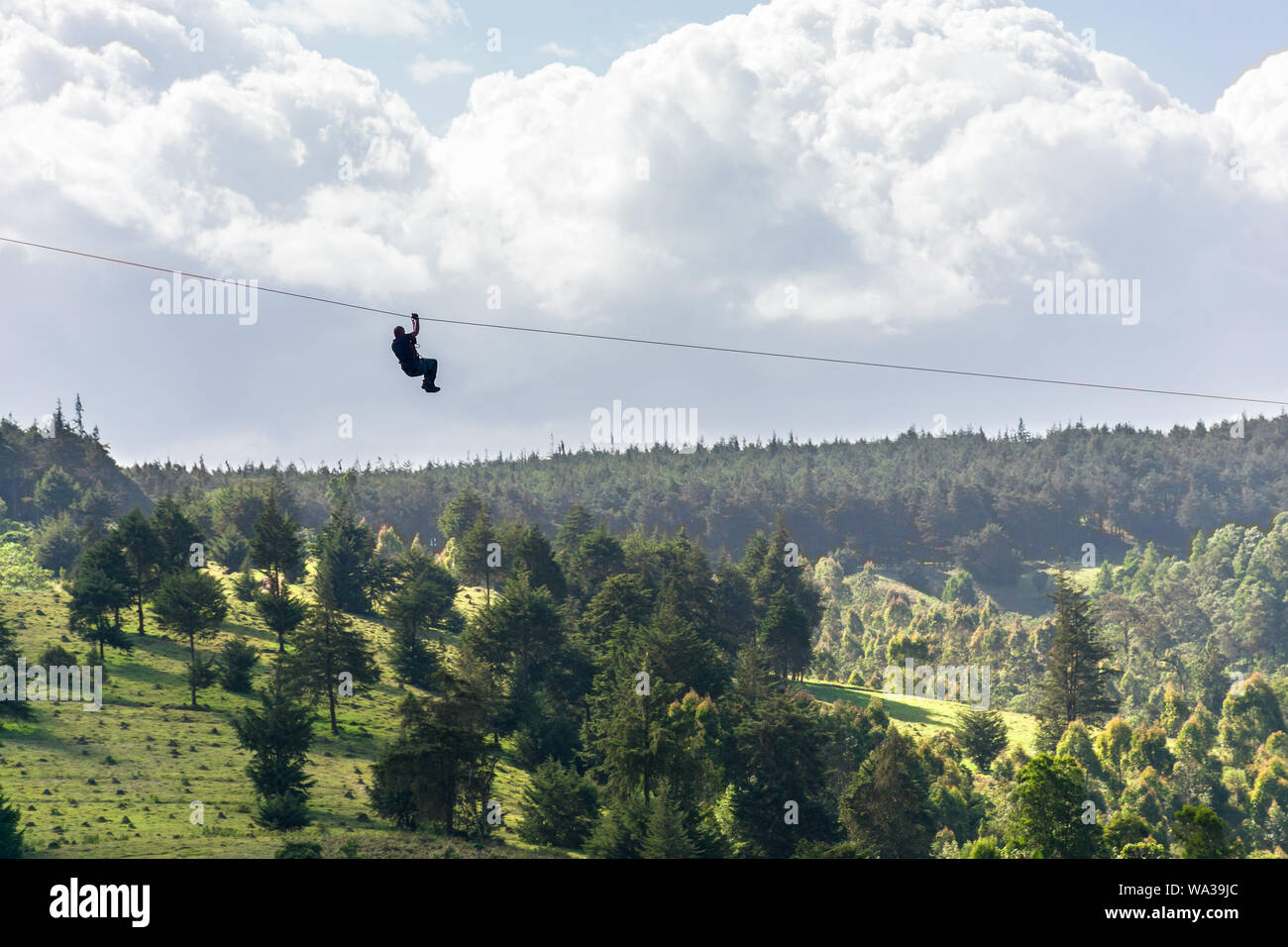 Un homme voyageant sur une tyrolienne à la Forest Recreation Centre, Kenya Banque D'Images