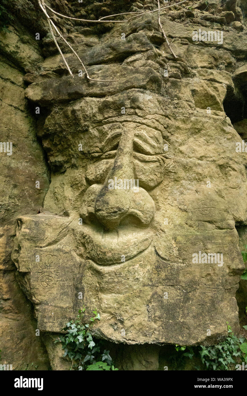 Visage sculpté dans la falaise calcaire, falaises Barnburgh Barnburgh, Doncaster, South Yorkshire, Angleterre, Royaume-Uni Banque D'Images