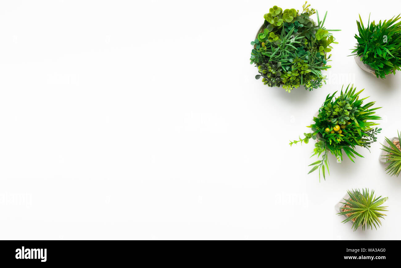 Plantes artificielles dans différents casiers sur fond blanc Banque D'Images
