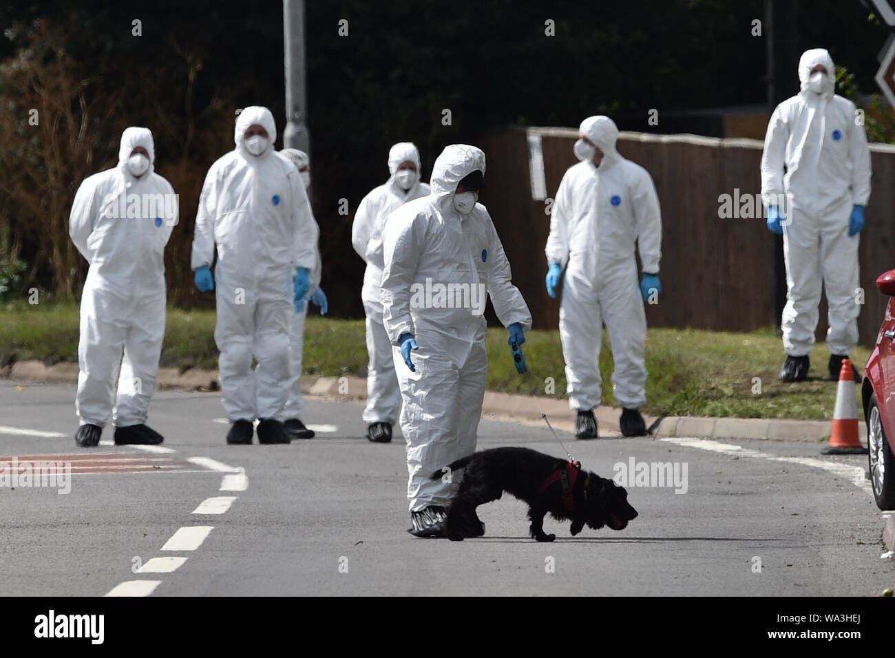 Police recherche la scène, où Thames Valley Police officer Pc Andrew Harper, 28 ans, est décédé des suites d'un "incident grave" à environ 23 h 30 le jeudi à proximité de l'A4 Bath Road, entre lecture et Newbury, au village de Sulhamstead dans le Berkshire. Banque D'Images