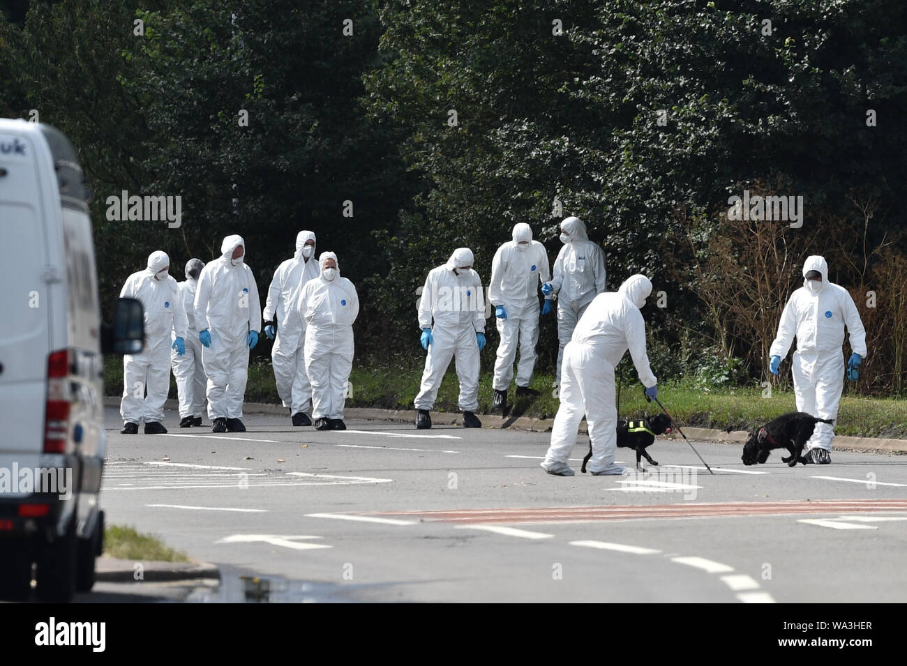 Police recherche la scène, où Thames Valley Police officer Pc Andrew Harper, 28 ans, est décédé des suites d'un "incident grave" à environ 23 h 30 le jeudi à proximité de l'A4 Bath Road, entre lecture et Newbury, au village de Sulhamstead dans le Berkshire. Banque D'Images