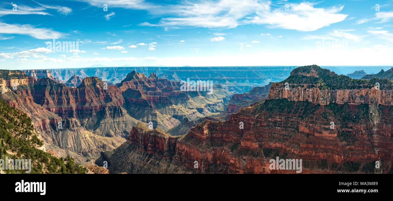 Vue de paysage de Bright Angel canyon Viewpoint, Rive Nord, le Parc National du Grand Canyon, Arizona, USA Banque D'Images