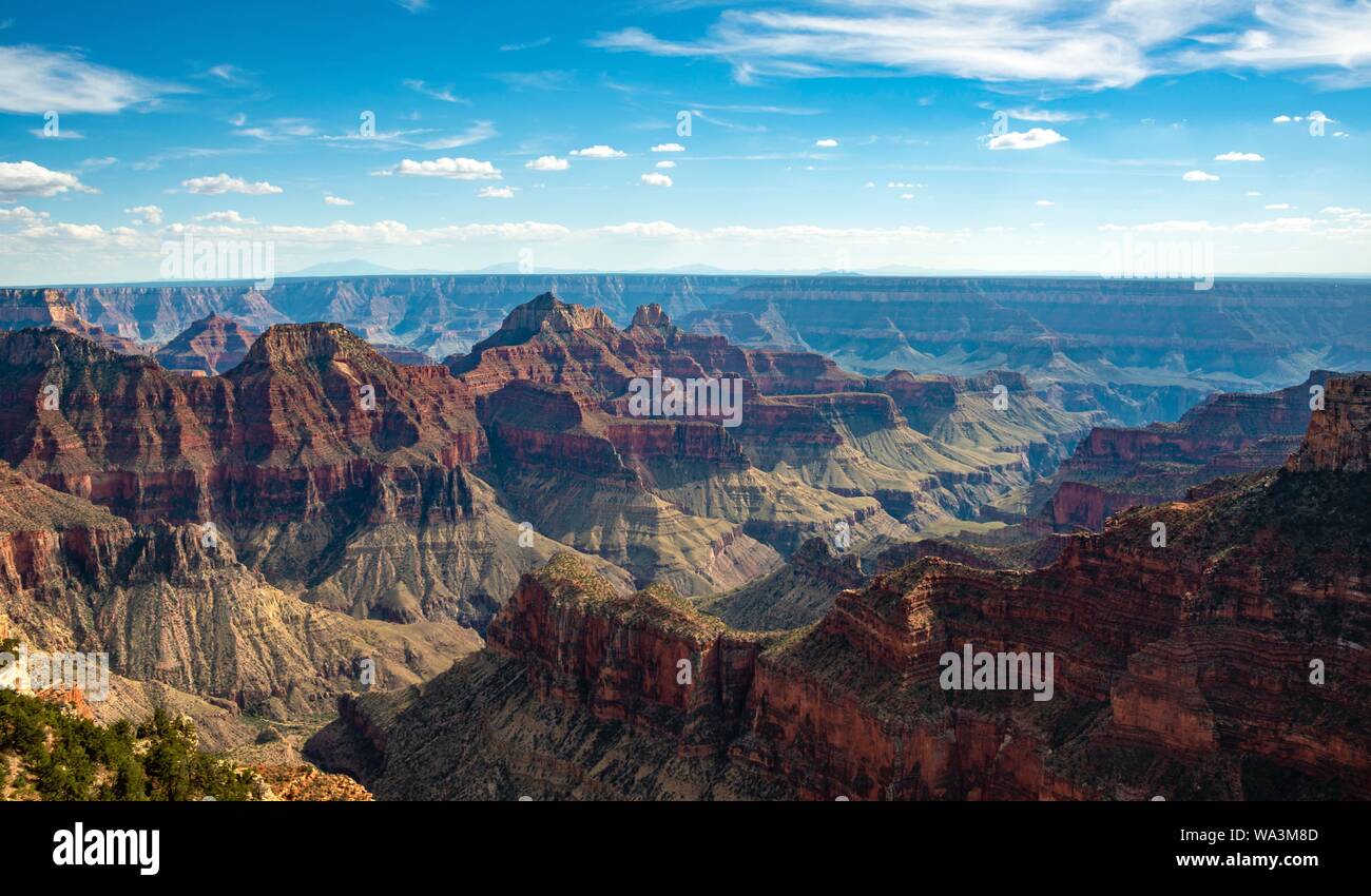 Vue de paysage de Bright Angel canyon Viewpoint, Rive Nord, le Parc National du Grand Canyon, Arizona, USA Banque D'Images