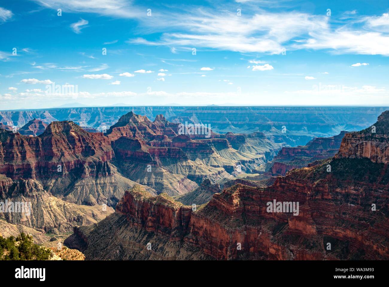 Vue de paysage de Bright Angel canyon Viewpoint, Rive Nord, le Parc National du Grand Canyon, Arizona, USA Banque D'Images