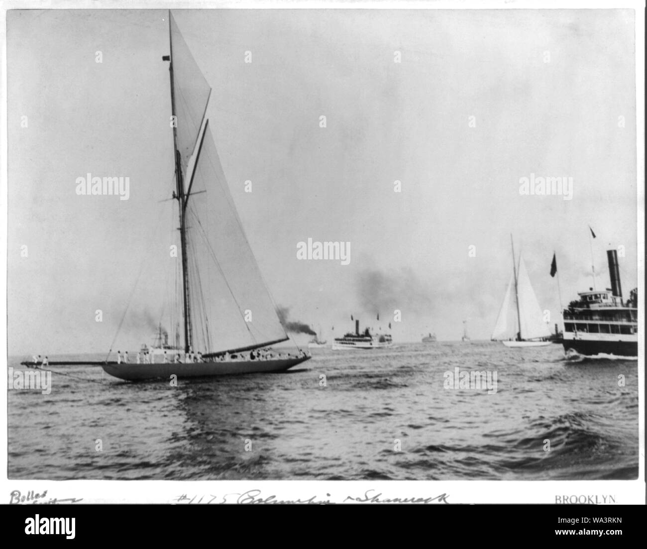 Des courses de bateaux] : Colombie-britannique et SHAMROCK Banque D'Images