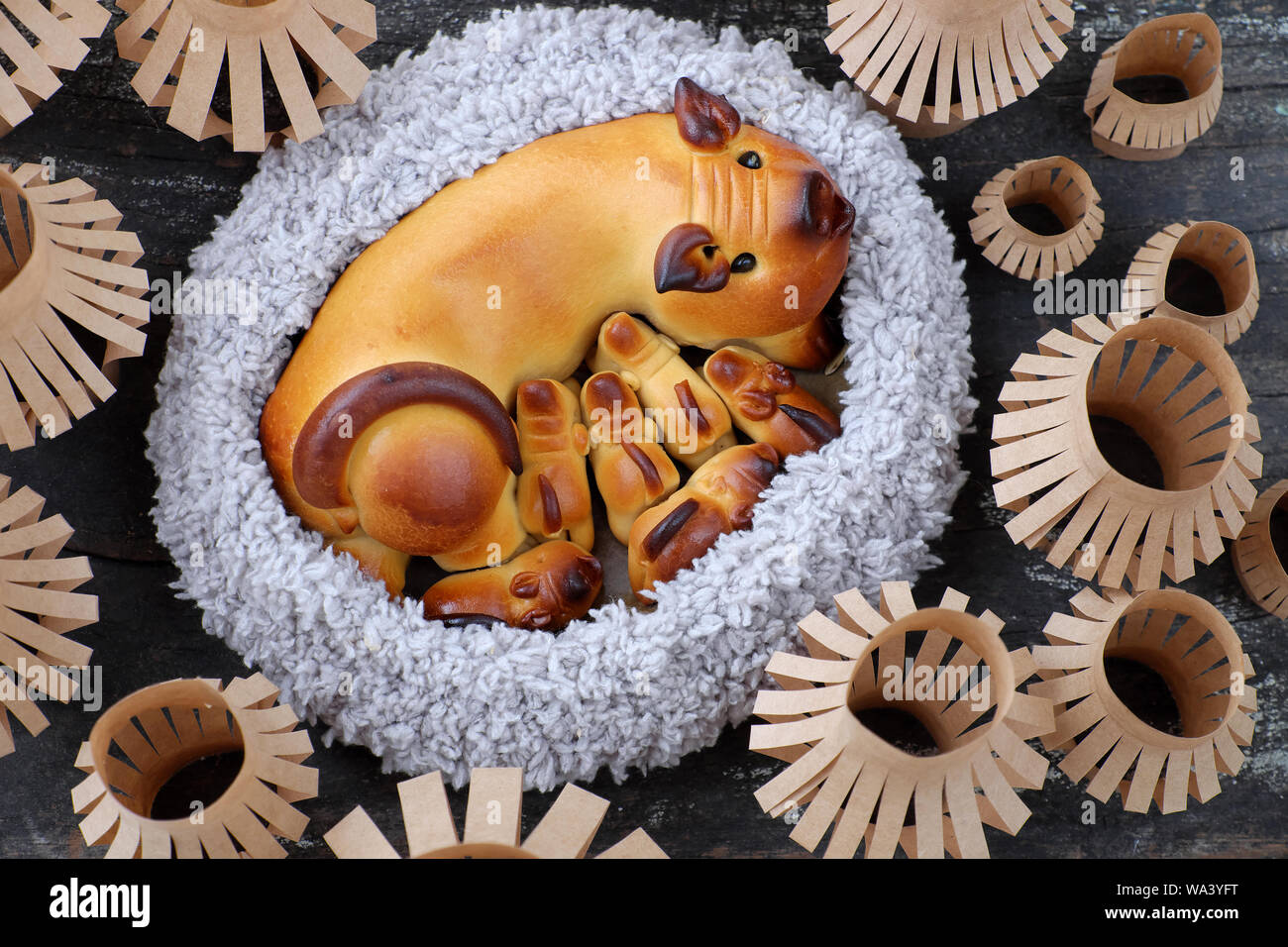 Close up en vue de dessus du gâteau de lune avec la mère de porcs et porcelets forme, lanternes en papier, articles de boulangerie traditionnelle pour la mi saison d'automne sur un parquet en bois noir Banque D'Images