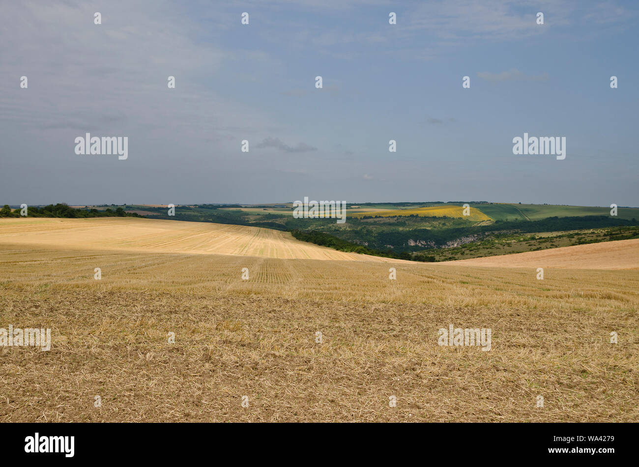 Moment de la récolte dans les champs de la Bulgarie du nord Banque D'Images