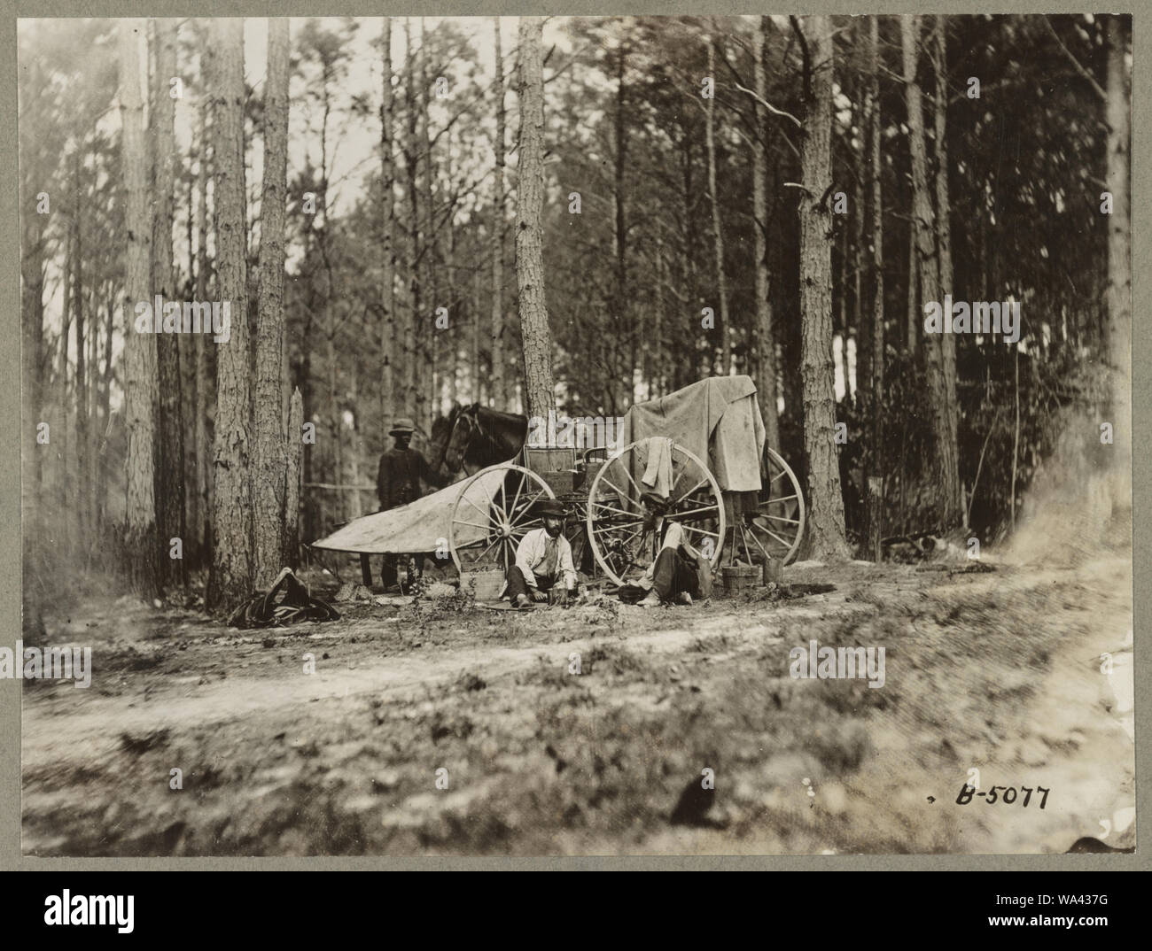 Brady's photo ensemble en face de Petersburg, Virginie 1864( ?) Banque D'Images